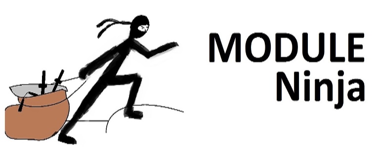 Module Ninja Logo